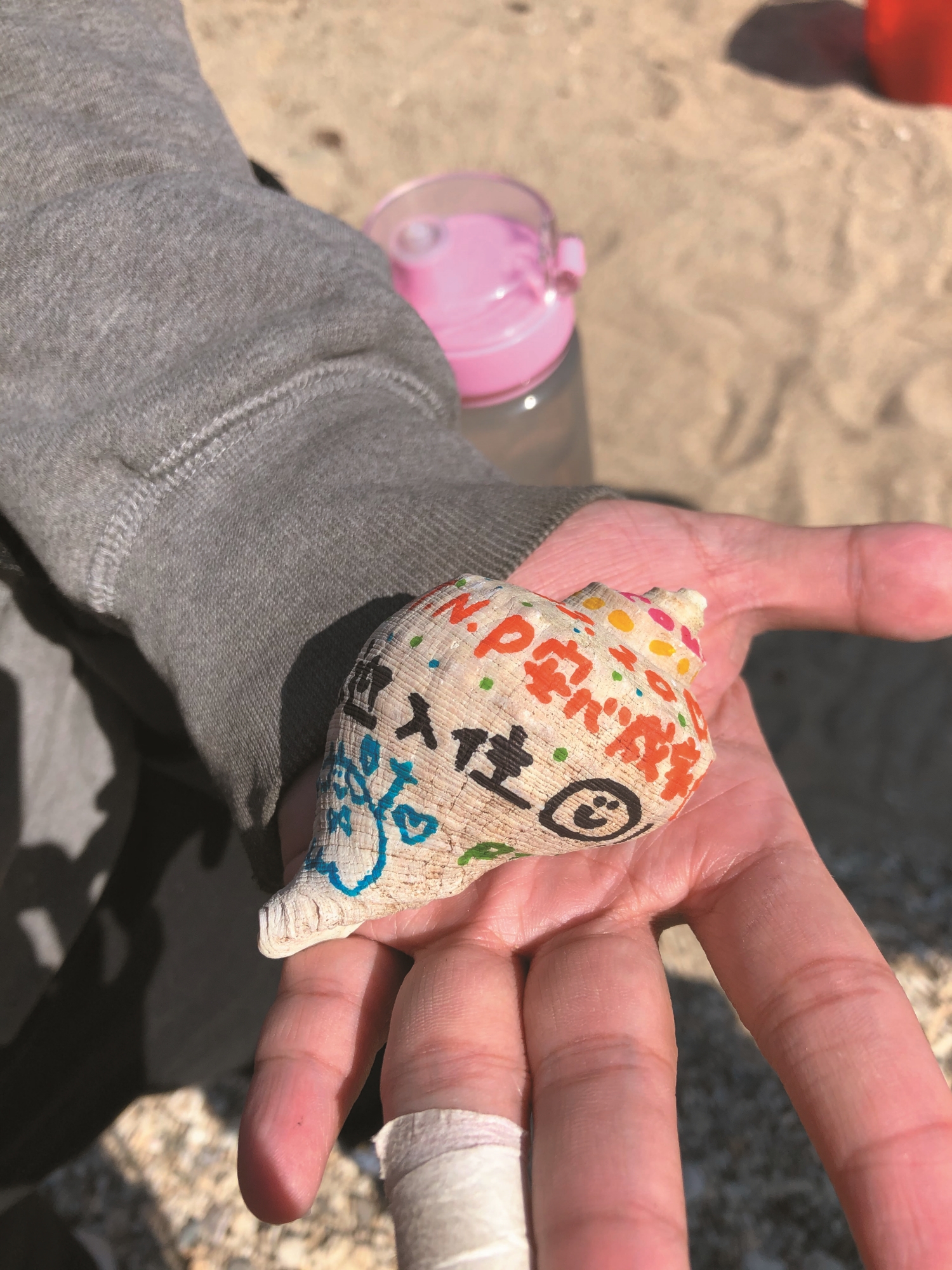 海邊隱士蟹謝你