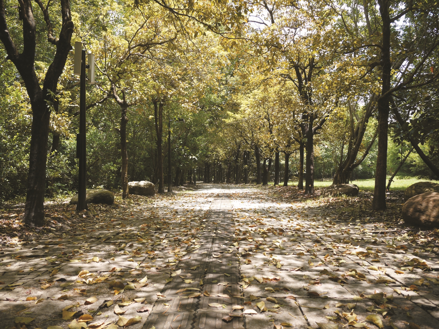 高雄都會公園內環園步道／自管處 提供