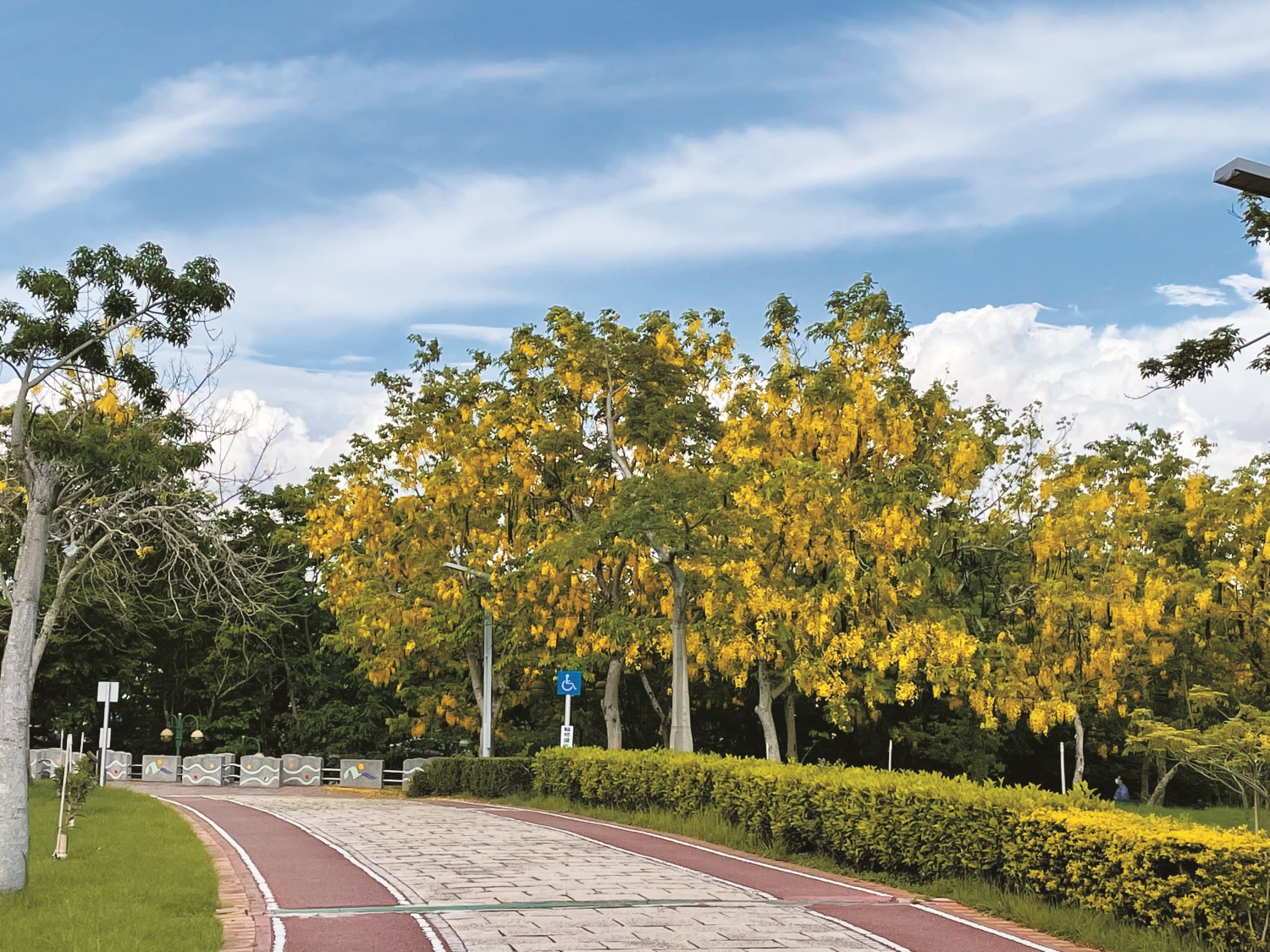 臺中都會公園／自管處 提供