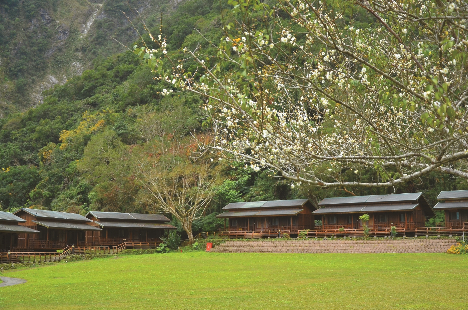 布洛灣臺地周邊森林茂密,吸引眾多鳥兒棲息/林茂耀 攝