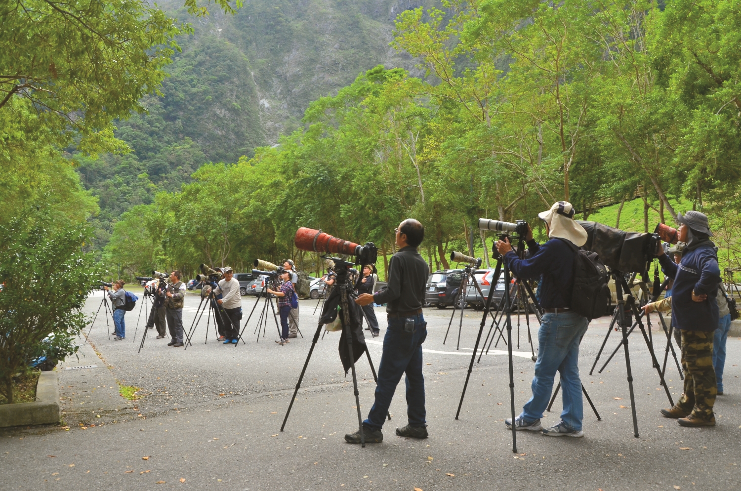 秋冬季時節布洛灣臺地時常聚集可觀的拍鳥人士/林茂耀 攝
