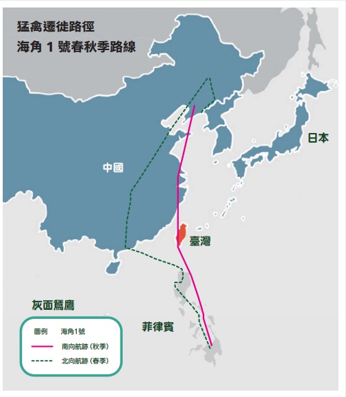 猛禽遷徙路徑 海角1 號春秋季路線