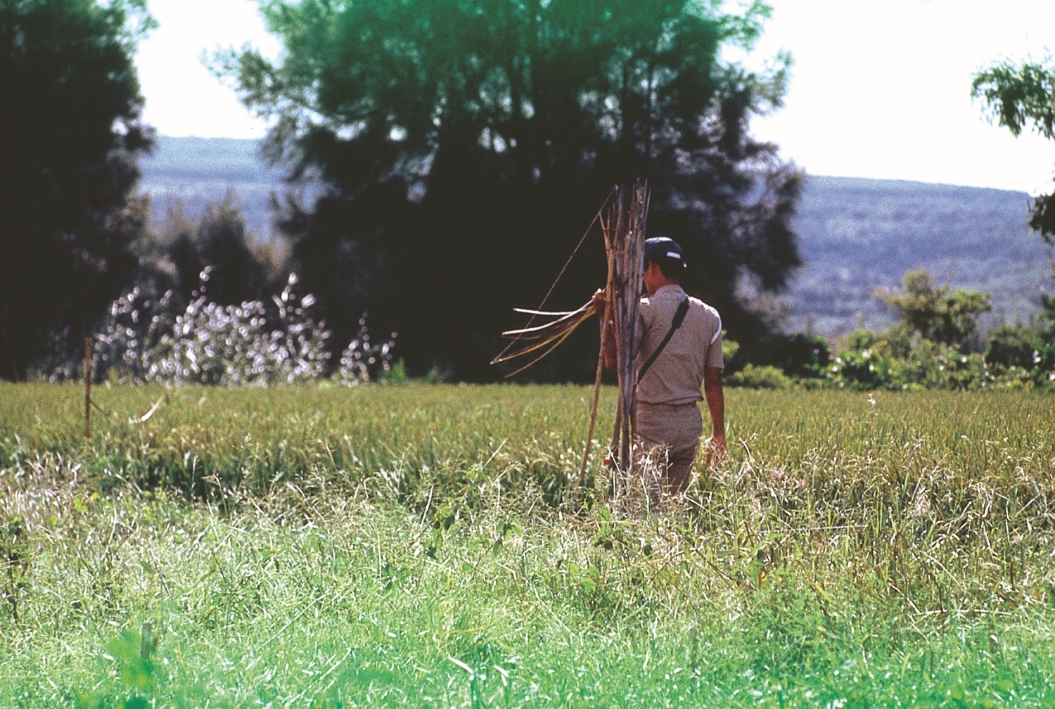 墾丁國家公園成立後大力取締捕鳥的鳥仔踏／內政部營建署 提供