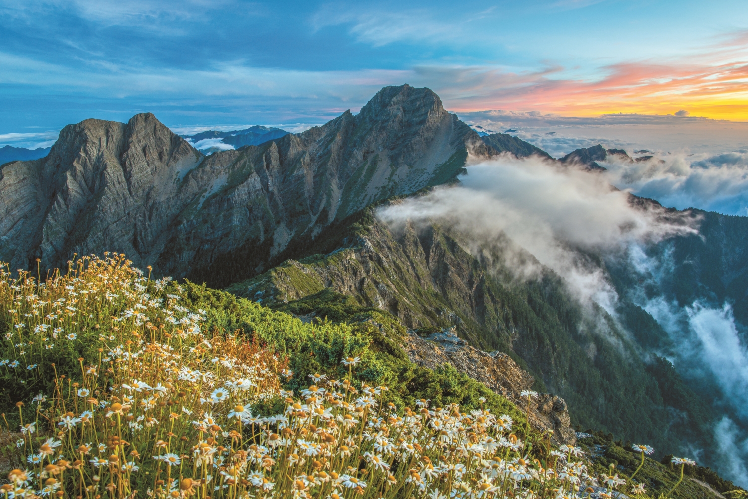 玉山國家公園，為張隆盛擔任營建署署長時期所推動成立／何小綠攝