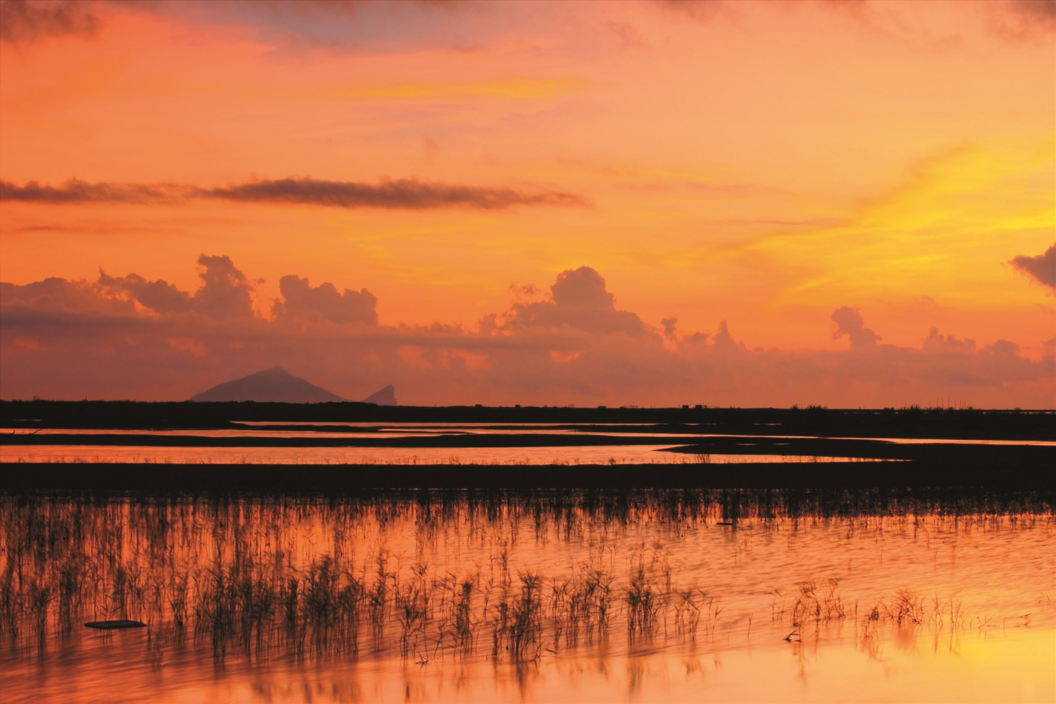 蘭陽溪口濕地夕照,遠處為龜山島/達志有限公司 提供