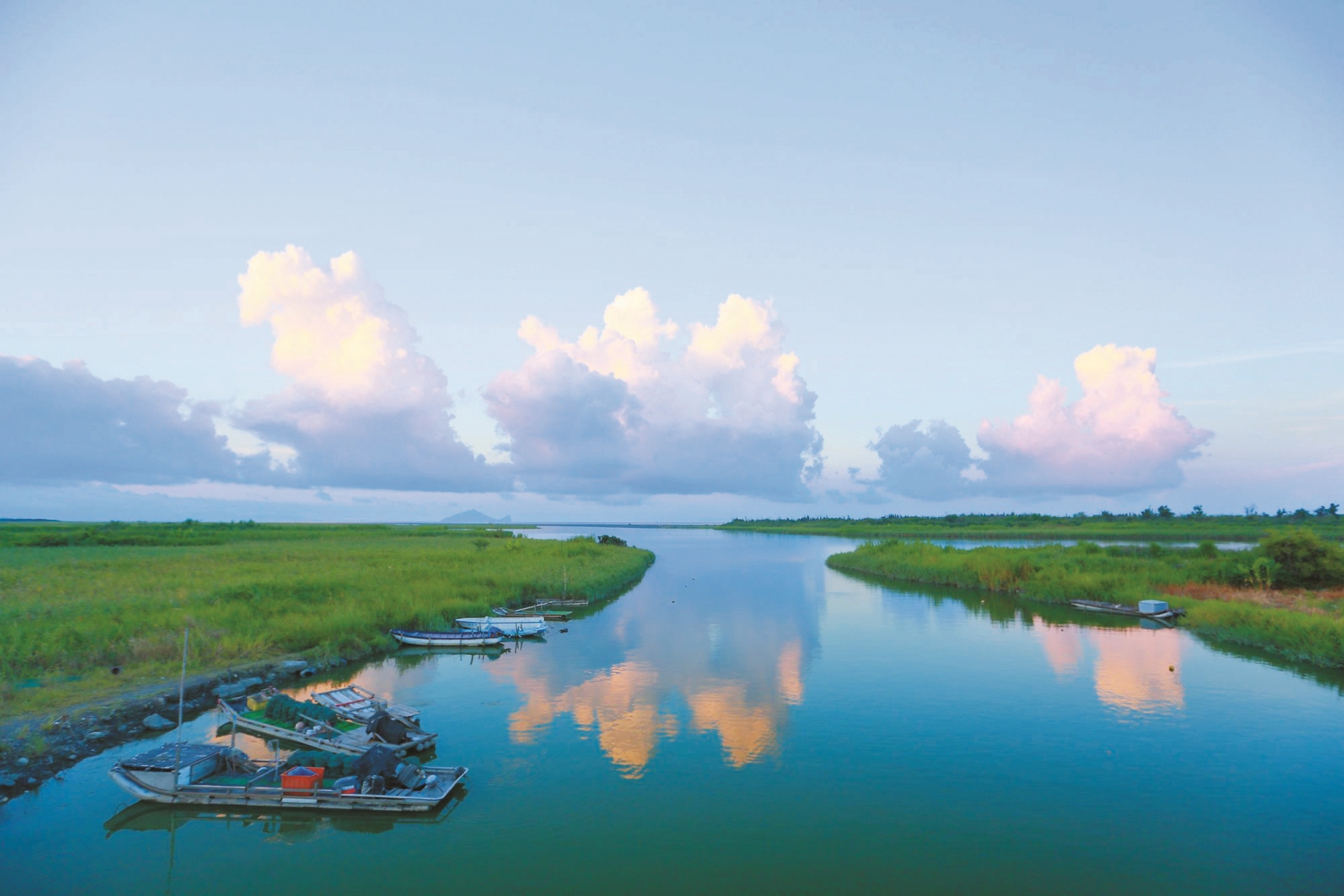 水草豐美的蘭陽溪口濕地,提供鳥類豐富食物,過去也是地方居民的重要生計來源/呂美中 攝