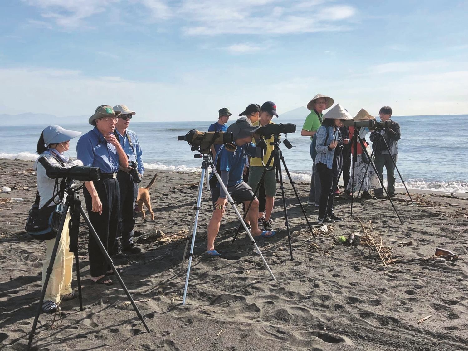蘭陽溪口觀察燕鷗／楊錦秀 提供