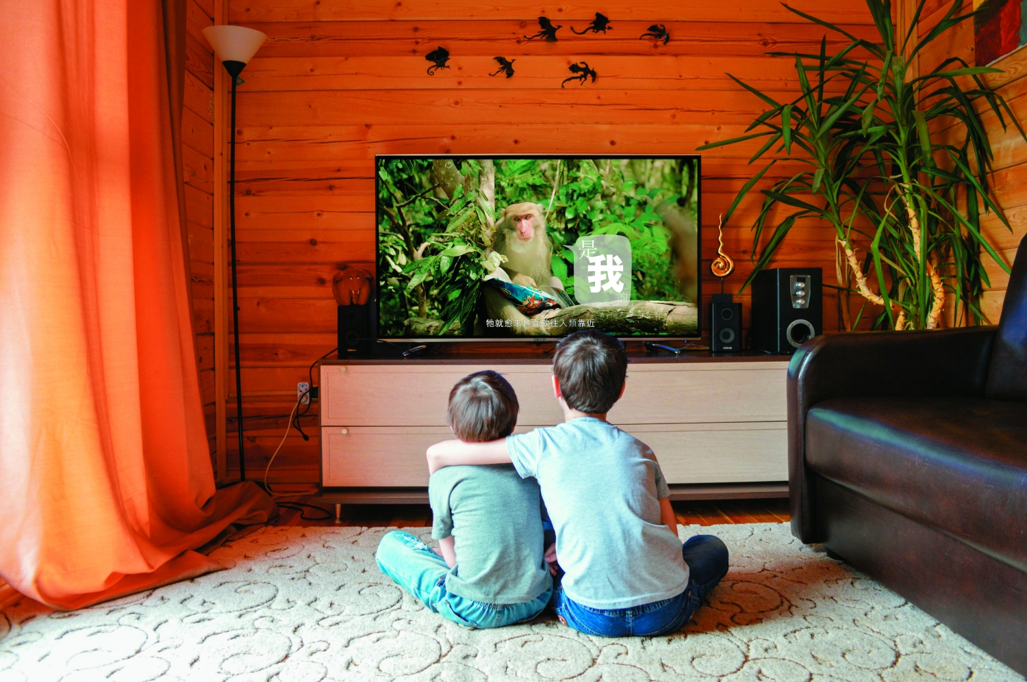 防疫期間,在家觀賞國家公園影音作品是一種最安全的親近自然方式/ Victoria Borodinova 攝(來源:https://pixabay.com/fr/photos/tv-enfants-les-dessins-anim%c3%a9s-film-5017870/)(本圖經過後製/ This picture has been remixed)