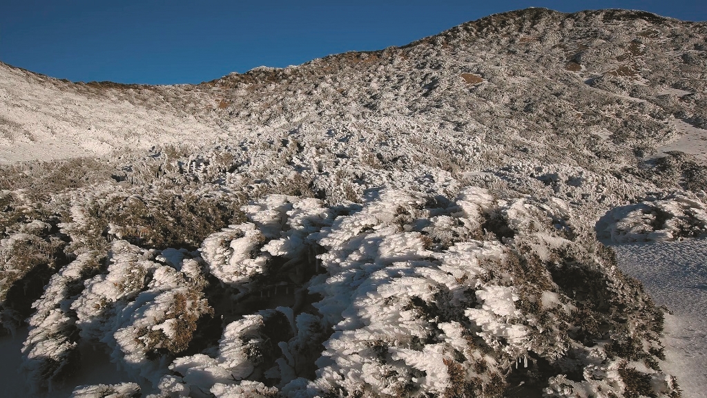 白雪覆蓋的山頭,在嚴寒冷冽下藏著生的希望/玉管處 提供