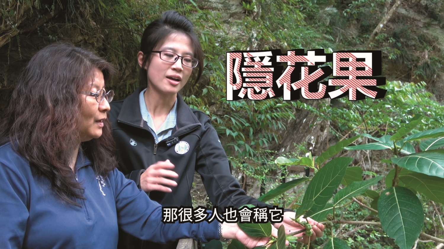 在解說員帶領下,在網路上也能遊賞太魯閣/太管處 提供