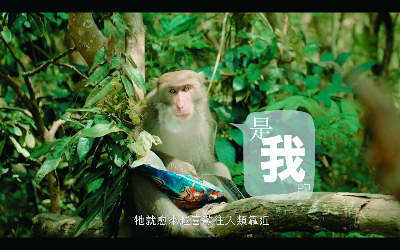 《猴諧和諧》/自管處 提供