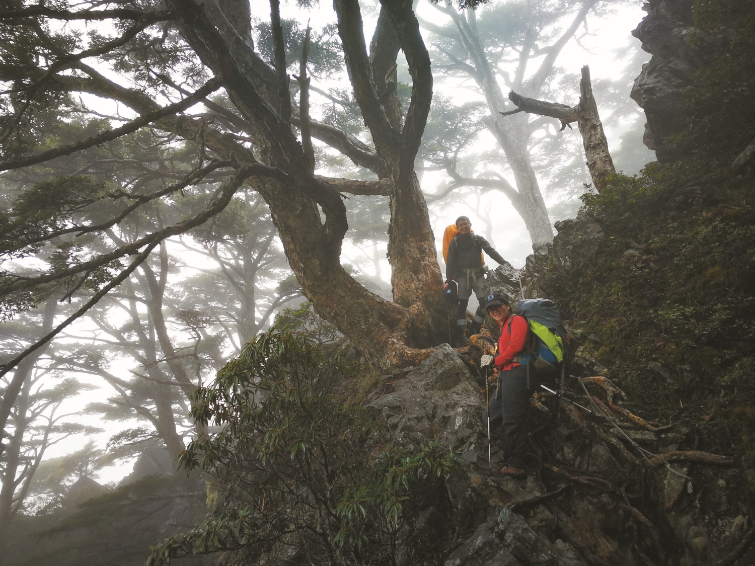 高山上氣壓、溫度、濕度變化幅度大，身體可能突生狀況，結伴同行最為上策／雪管處 提供（傅國銘 攝）