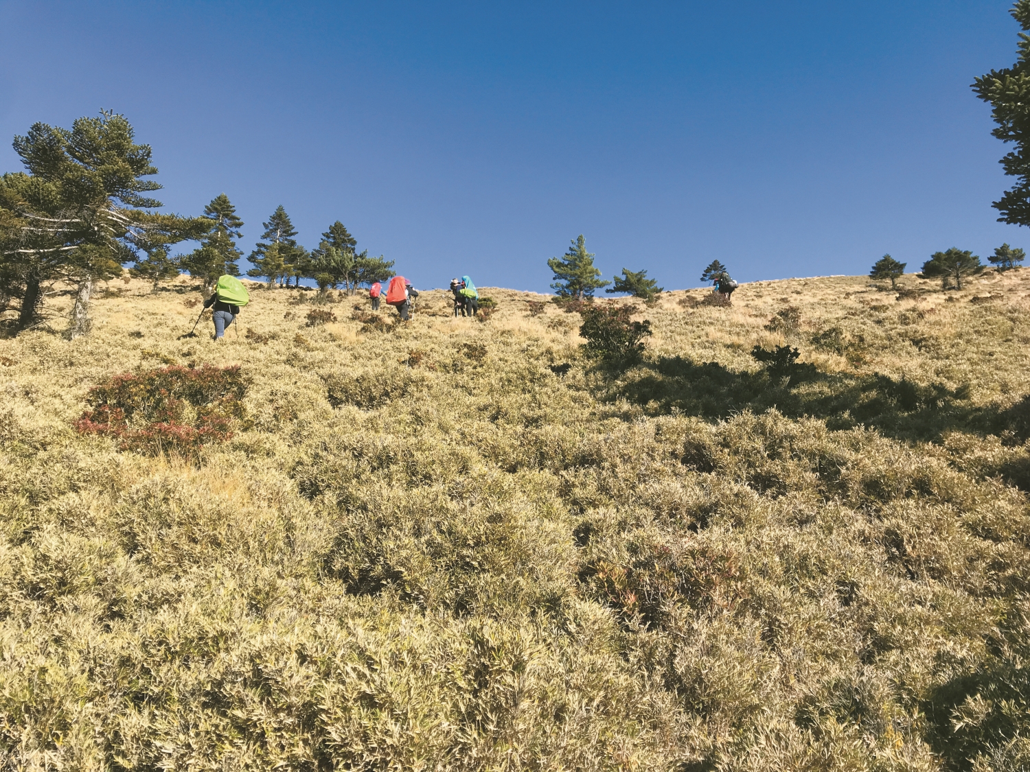 隨著登山人數成長，山域事故的發生次數也持續攀升／蔡奕緯 提供