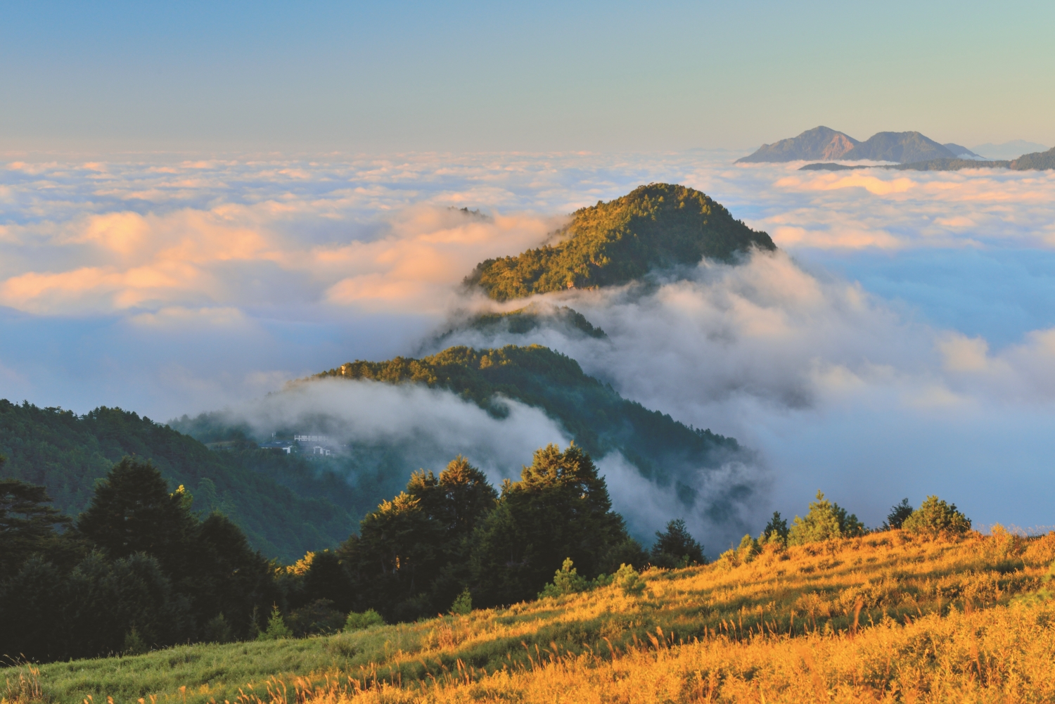 雲霧中的塔塔加，其名源於鄒族語「Tataka」，能眺望雄偉的玉山群峰／何小綠 攝