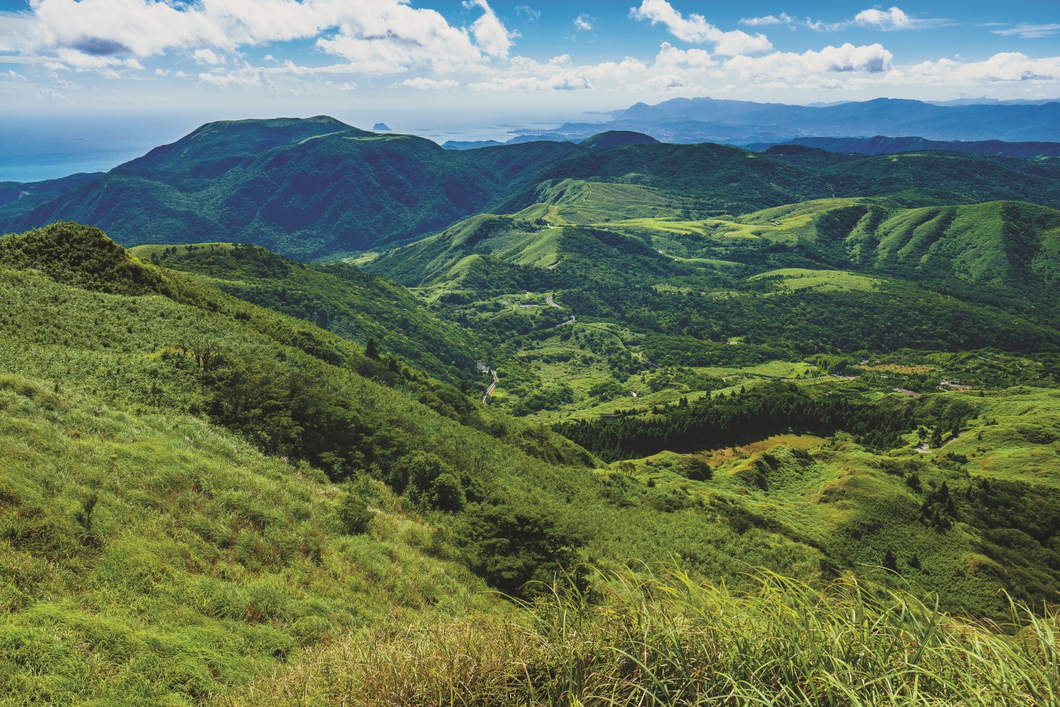 能保留眼前珍貴的自然景色是王鑫認為一輩子最得意的事/楊懷智 攝
