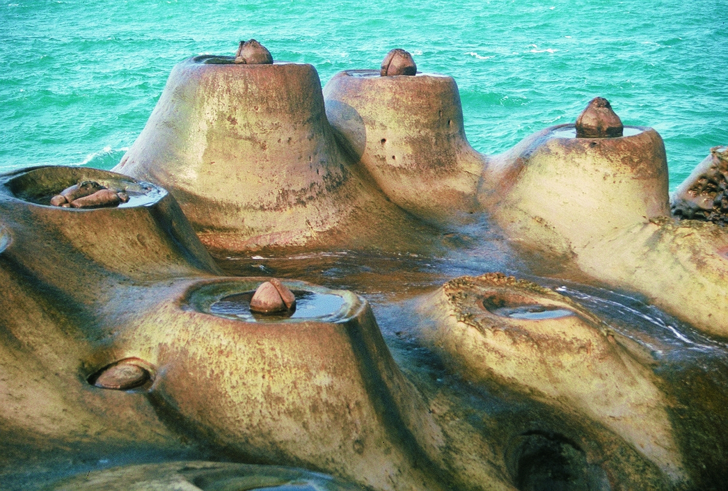 野柳─最佳地質實習場地