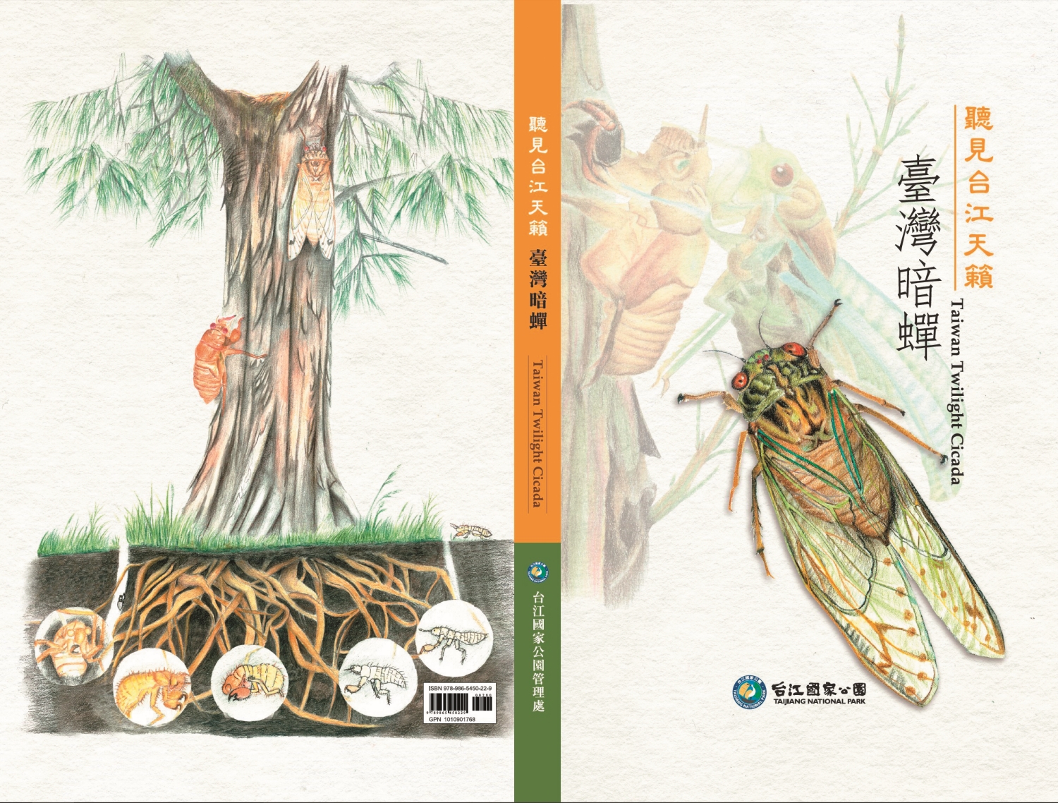 聽見台江天籟:臺灣暗蟬