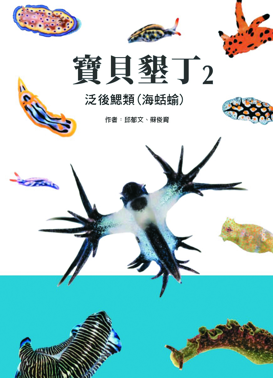 寶貝墾丁2 泛後鰓類(海蛞蝓)