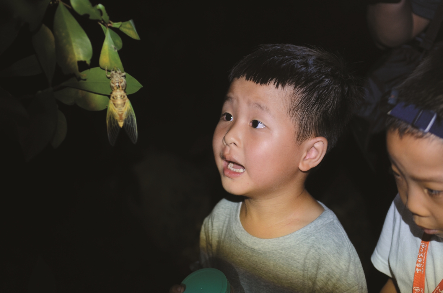 Night observation sharpens the five senses and makes people more focused. / Provided by Shei-Pa National Park Headquarters (Photo by Jing-Cheng Hu)