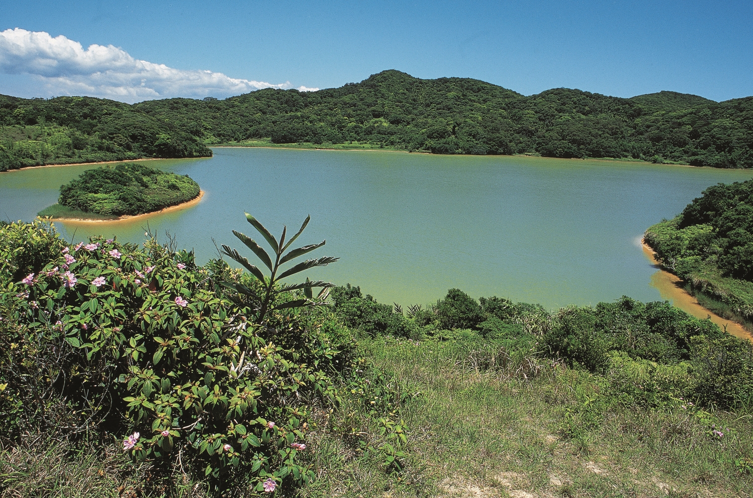 Nanren Lake is located in the Nanren Mountain Ecological Reserve, and the entire reserve is Kenting’s ecological treasury. / Provided by Kenting National Park Headquarters