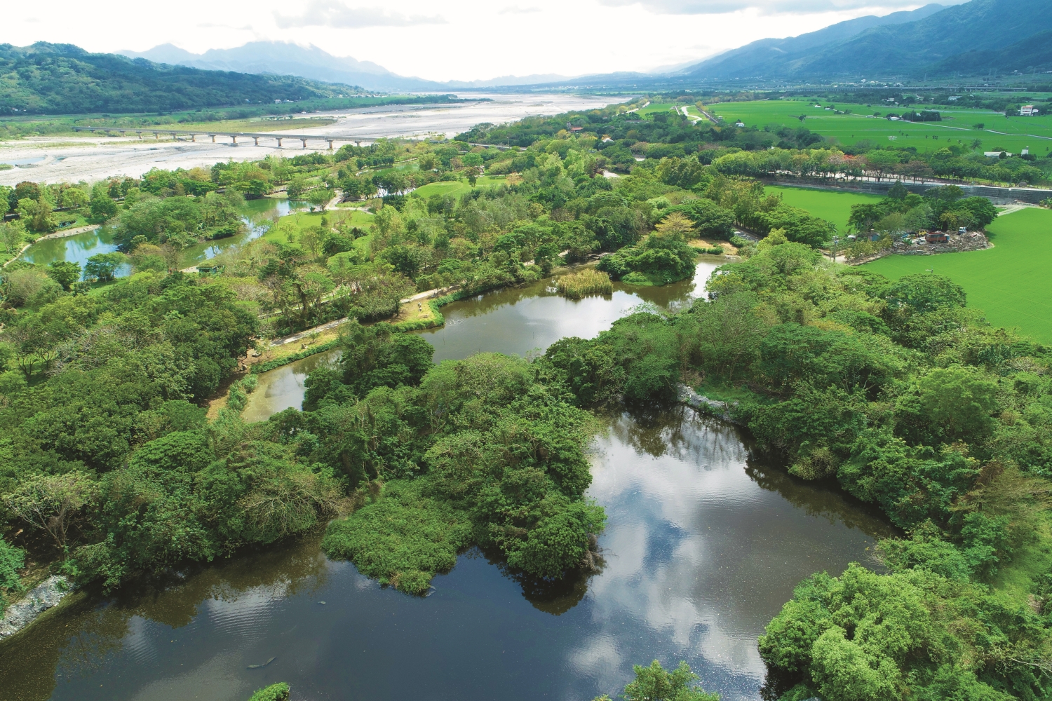 關山人工重要濕地