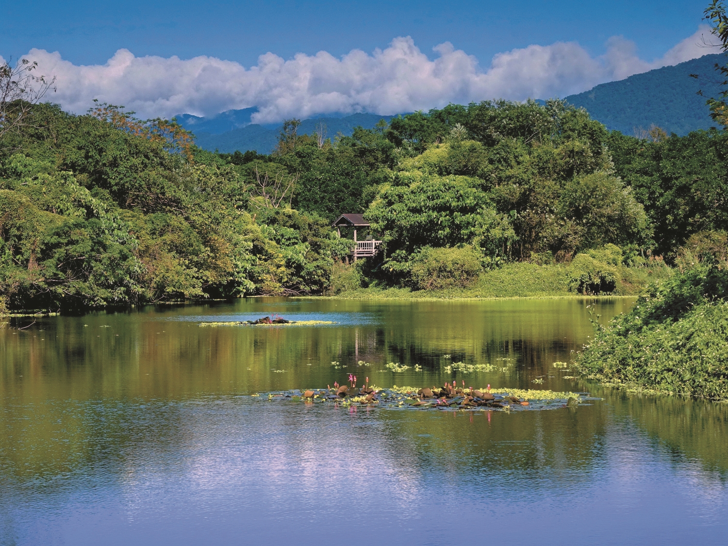 低調融入景觀的解說設施／臺東縣環保局提供