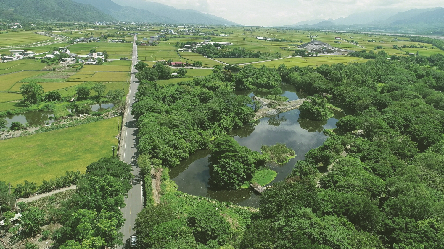 關山人工濕地周邊良田千頃