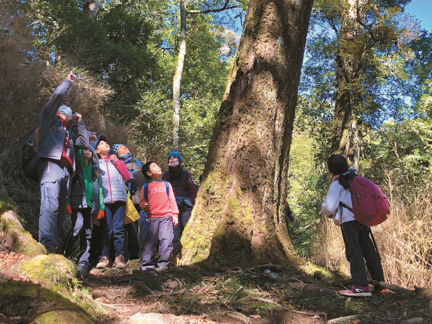 走入大自然獲得的健康益處，比你我想像的更多／雪管處 提供