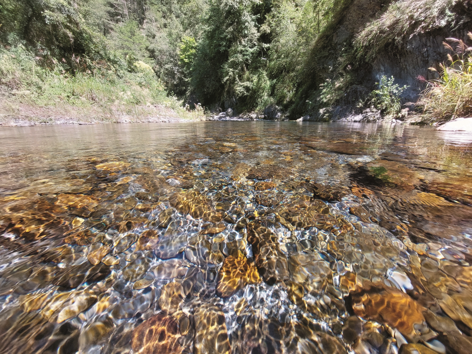 山中水域提供的負離子對健康也十分有益／雪管處 提供（張燕伶 攝）