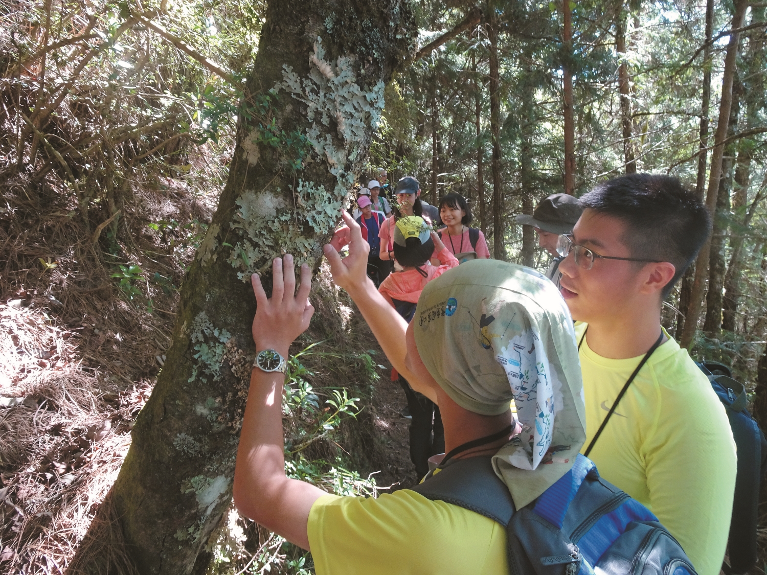 認識樹木和附生植物／雪管處 提供