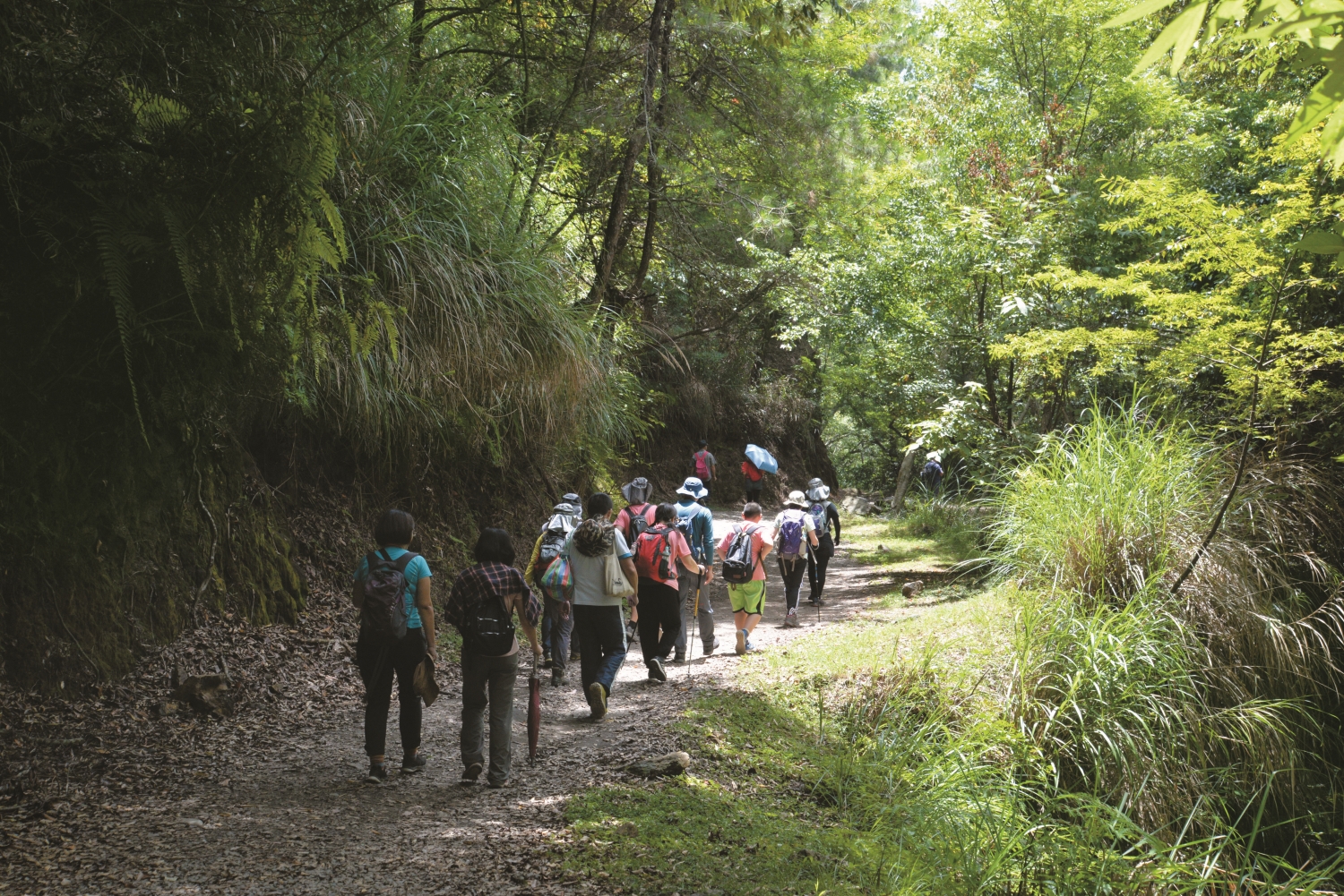 在森林中漫步，對心跳、血壓的正面影響立即可見／雪管處 提供