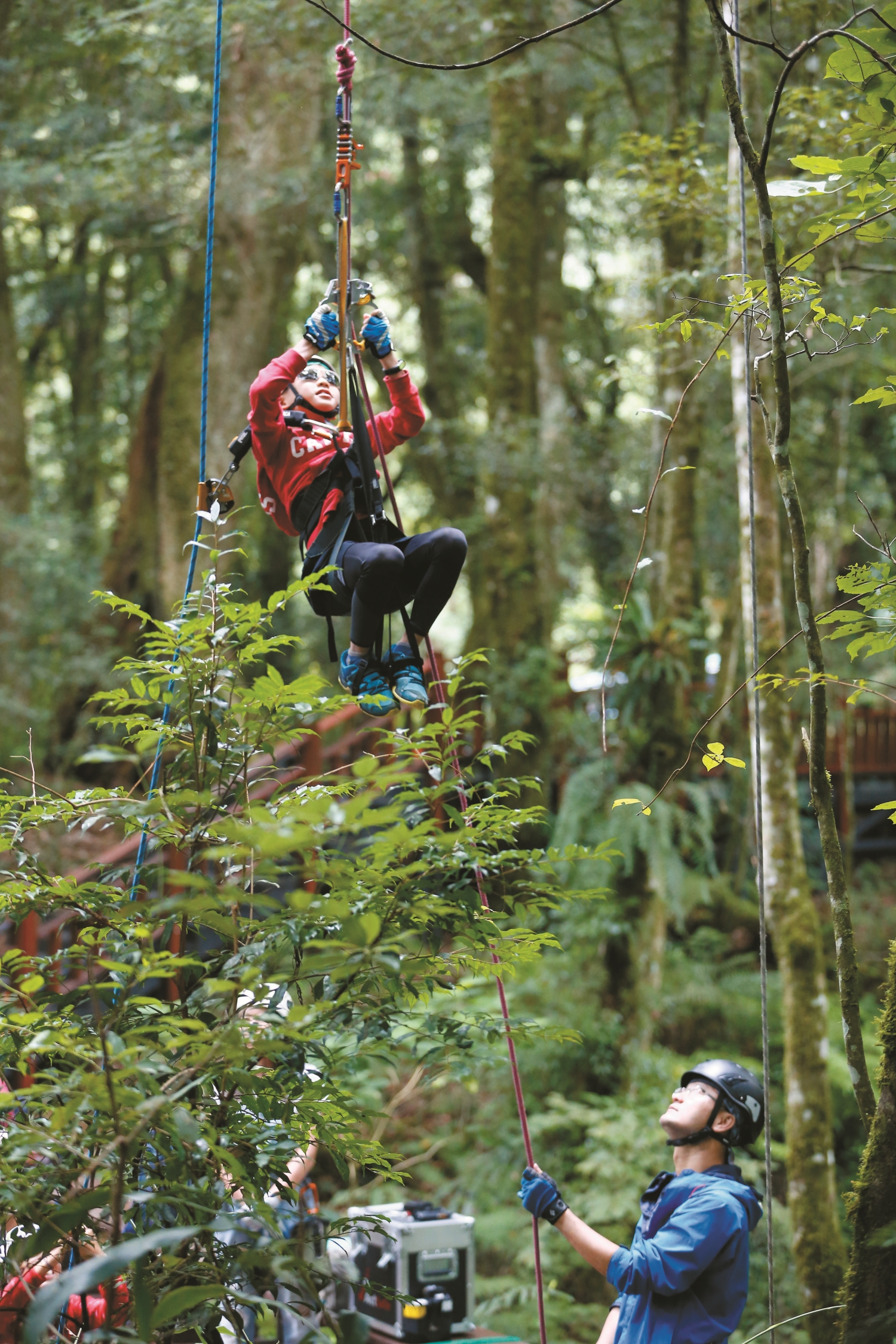 攀樹體驗，不僅鍛鍊身心，更看到從未見過的風景／雪管處 提供
