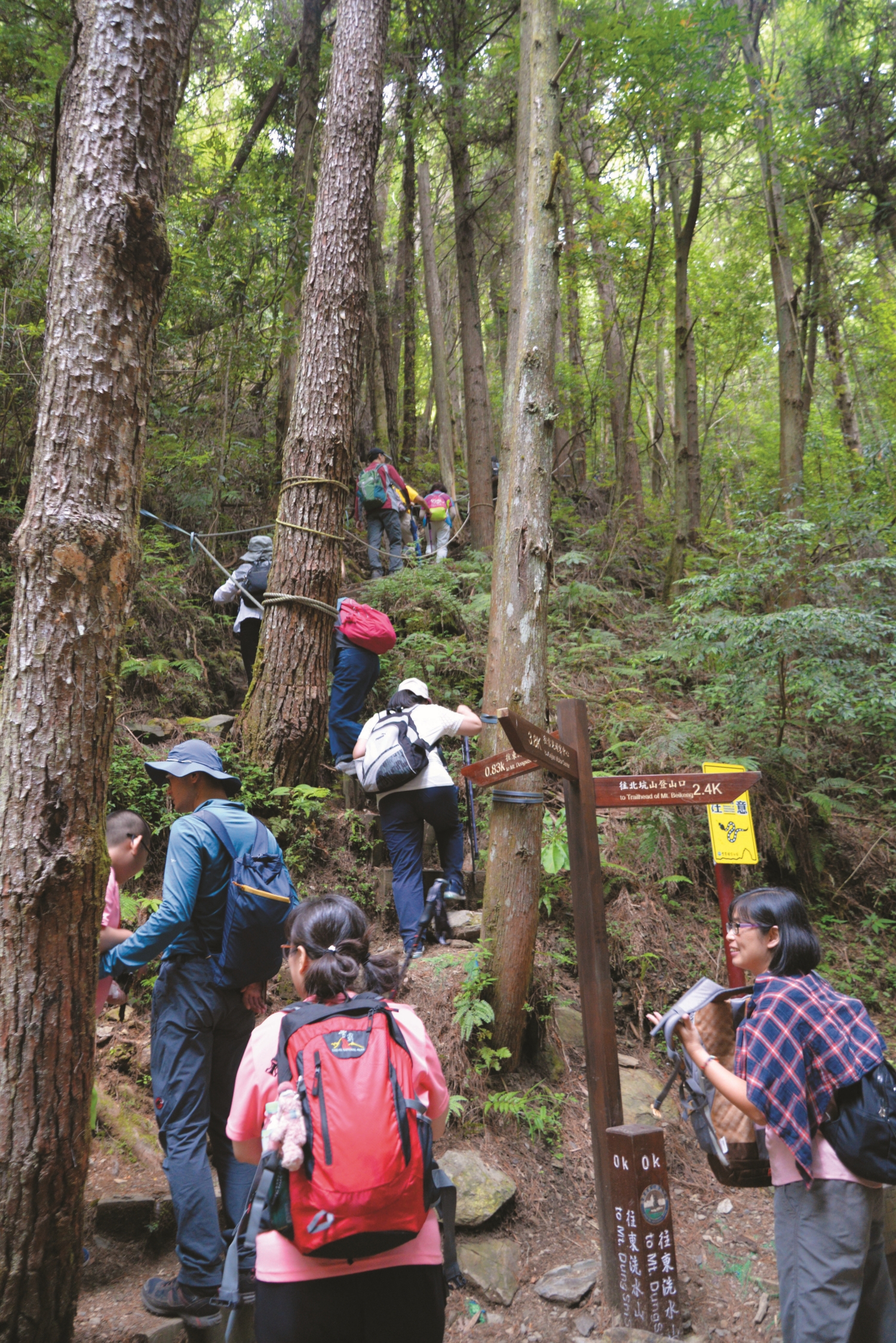 醫師鼓勵人們走入自然、找回健康／雪管處 提供