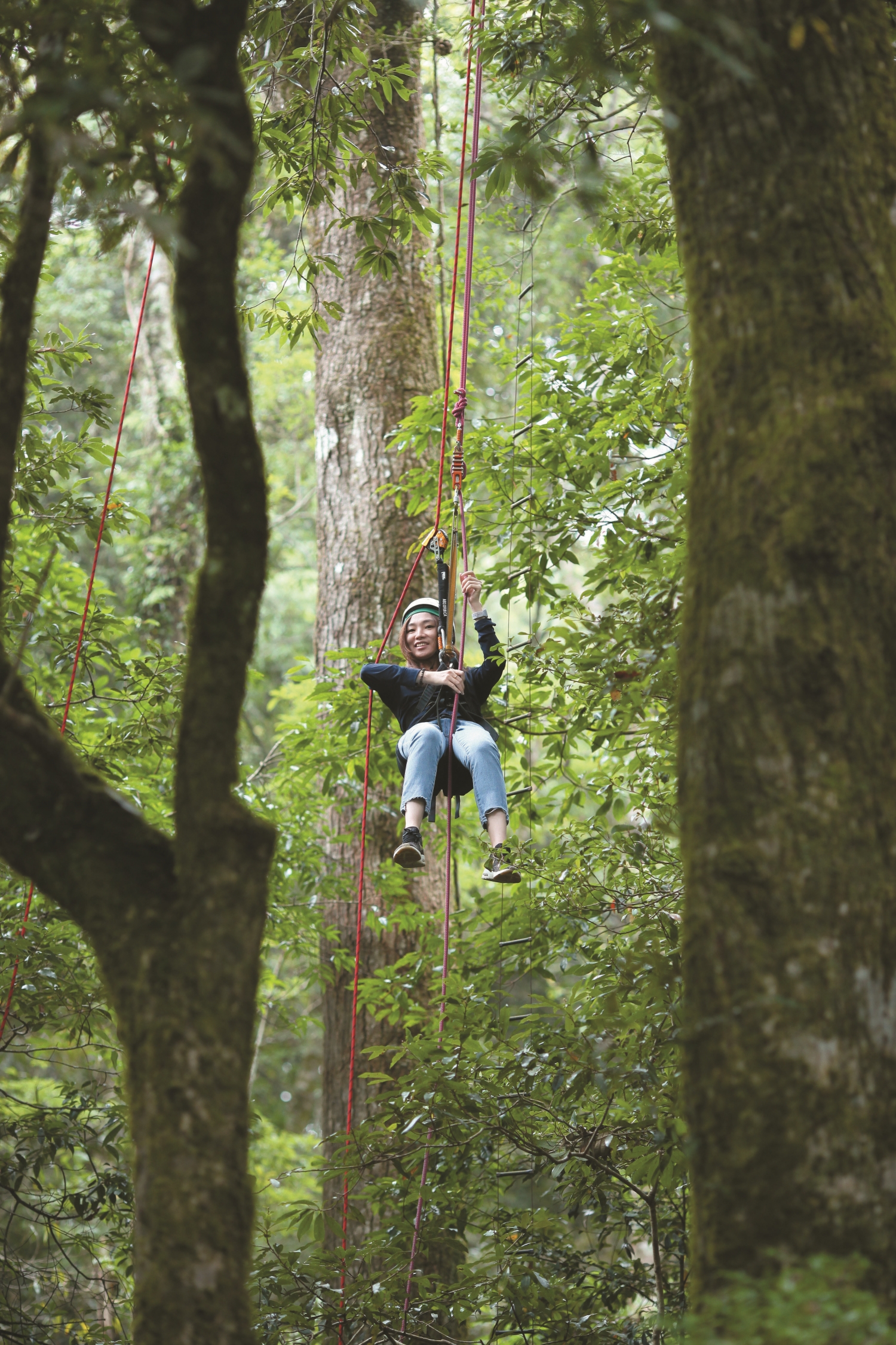 攀樹體驗／雪管處 提供