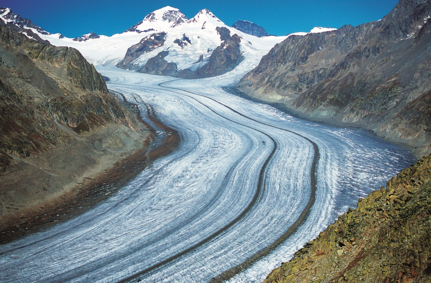 氣候暖化導致的冰河退縮，大大地影響了該地區的生態系統／ Reinhardt 提供｜ Dreamstime.com