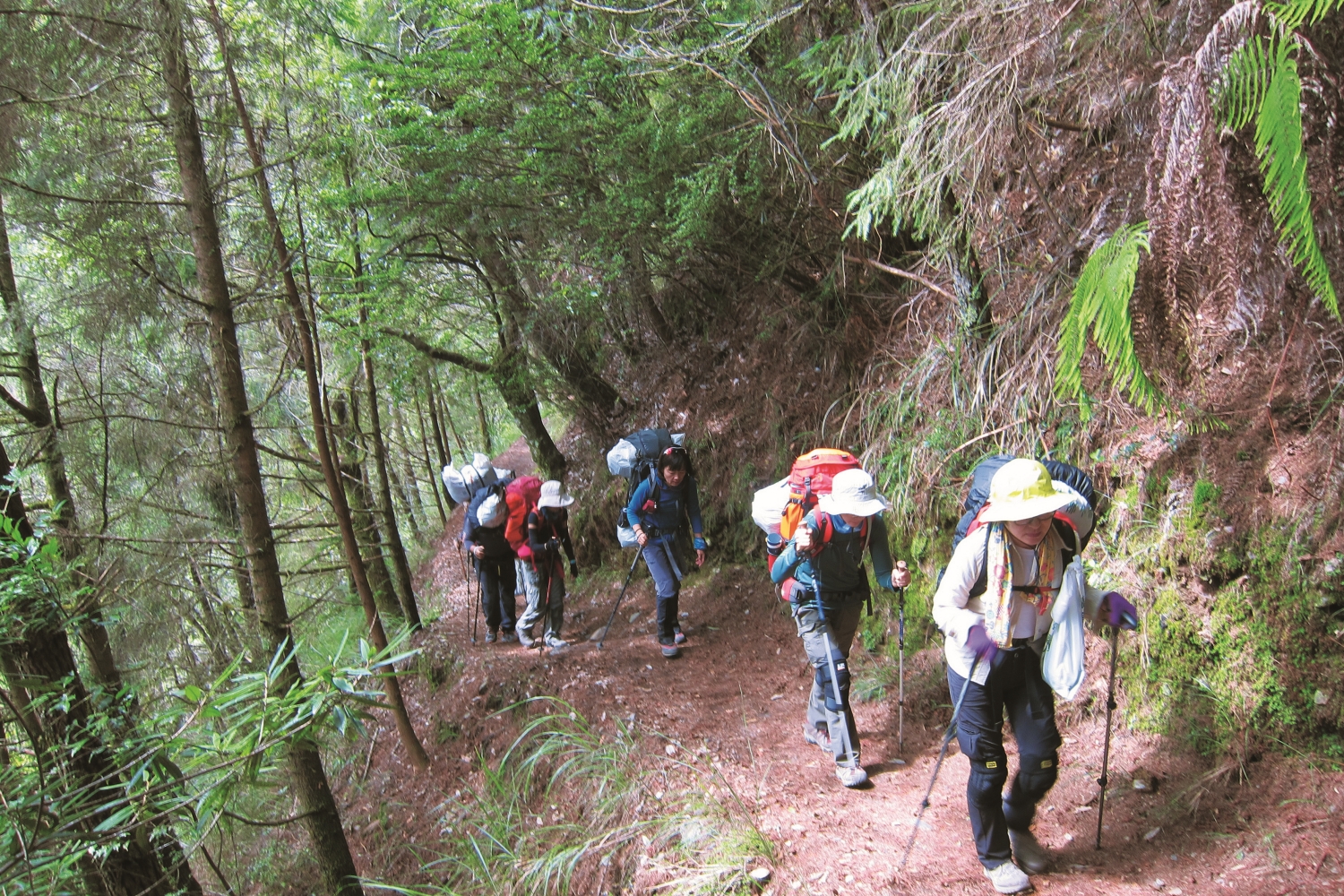 夥伴們一起將垃圾揹下山／出去玩協會 提供