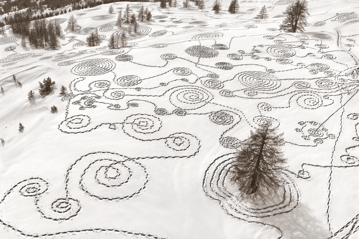 在志工協助下，由雪靴排布而成的雪景藝術／ NPS Photo 提供