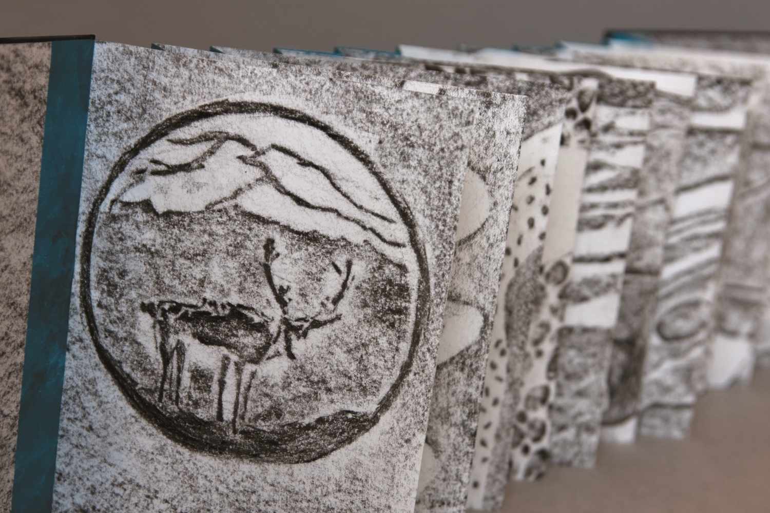 Melanie Mowinski 繪本作品《Alaska Book》／ NPS Photo 提供（Neil Blake 攝）