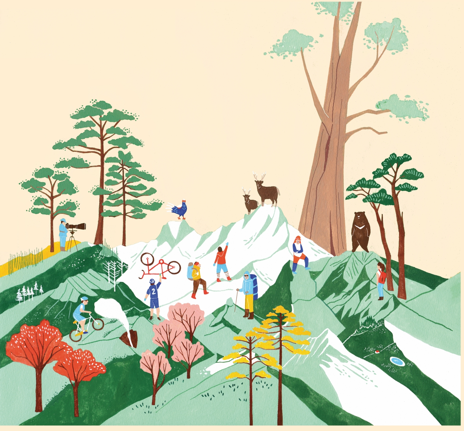 《臺灣最美的地方 國家公園地圖》一書封面