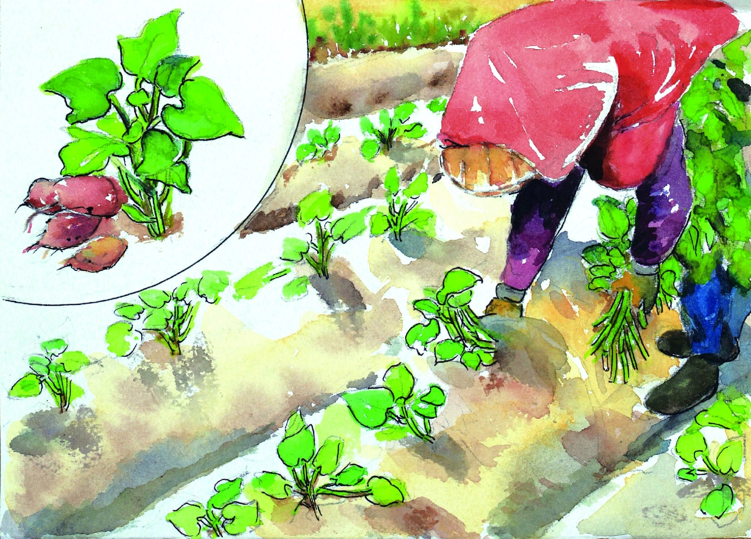 三百二十萬地名由來／台管處 提供