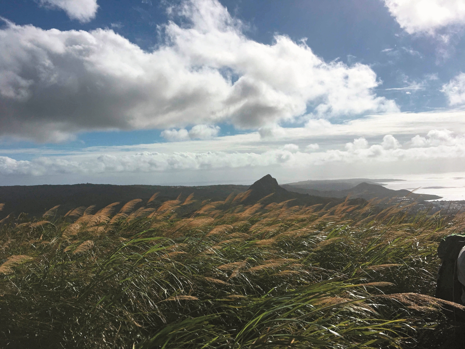 登高望遠大山母
