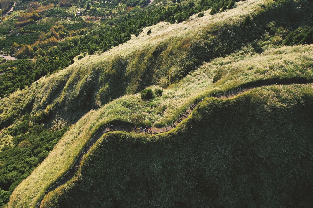 ｜走向山林，能使生命變得更遼闊／陳應欽 攝