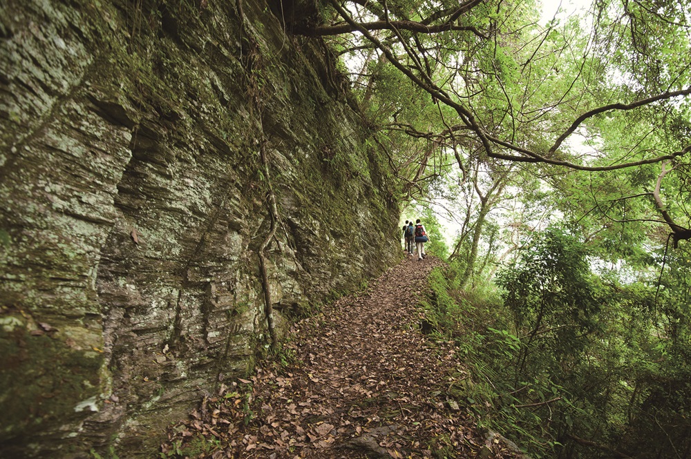 ｜有著茂盛植被的瓦拉米步道／潘玉璽 攝