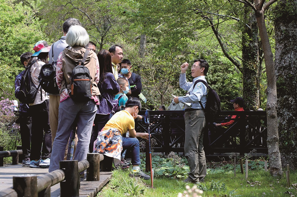 霧裡看花—觀霧步道植物導覽