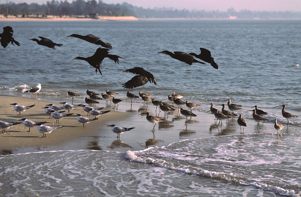 金門國家公園110年度保育成果發表會