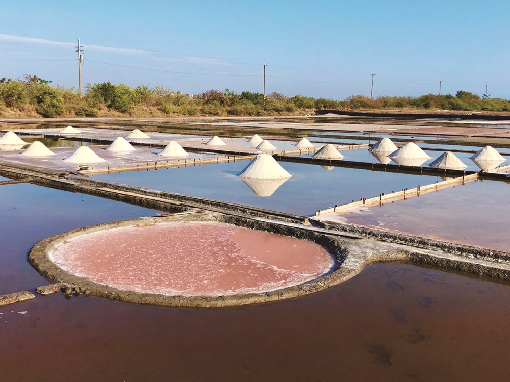 台江文史及鹽業體驗之旅