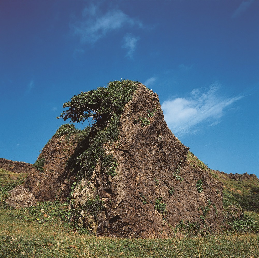 ｜挺過嚴酷環境考驗的社頂風剪樹／墾管處 提供
