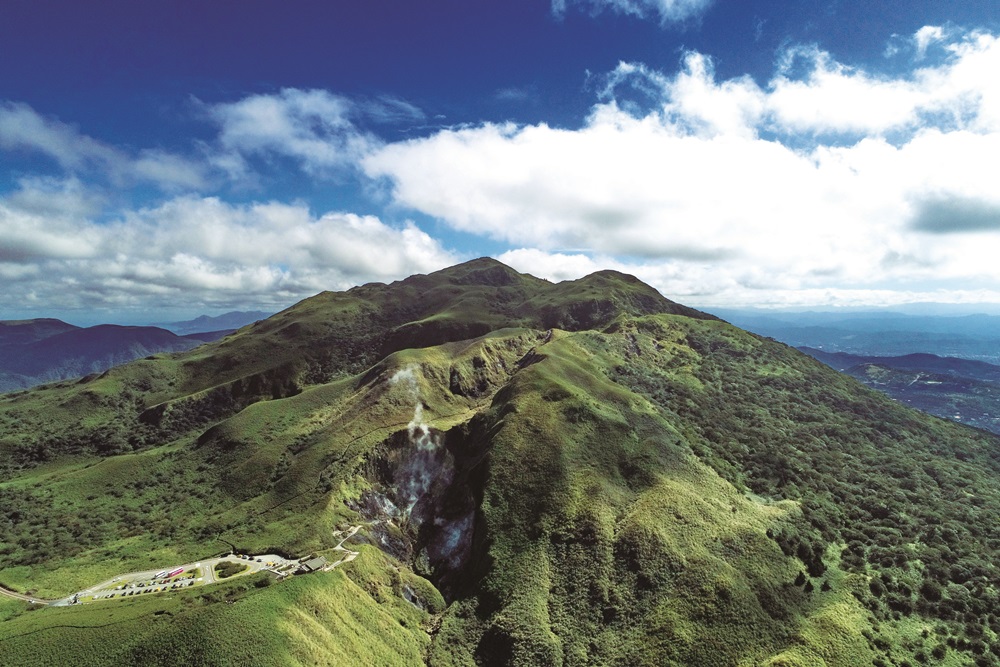 Miscanthus sinensis and Usawa cane atop Qixing Mountain / Photo by Jiang Hui-Mei