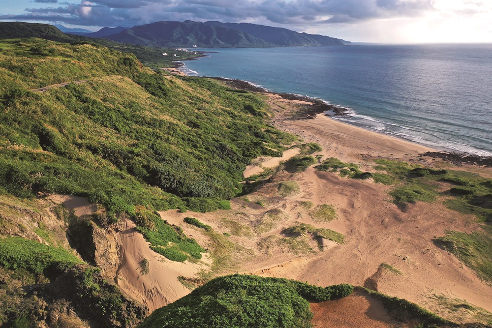 ｜承載著土壤、植被的珊瑚礁／陳應欽 攝