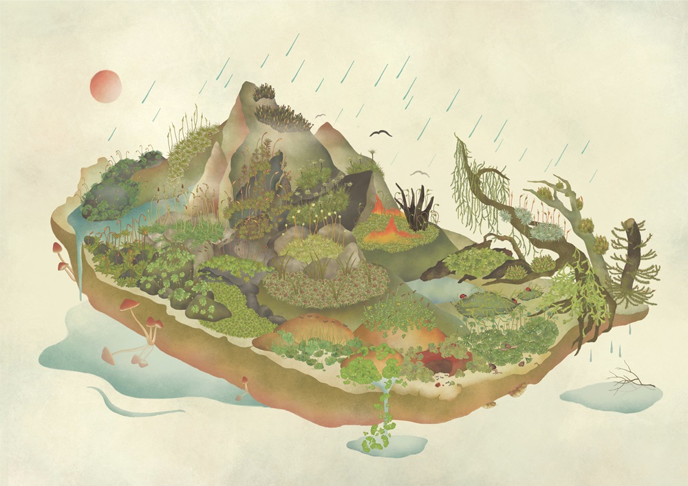 ｜在溫暖濕潤，地形齊備的臺灣島上，苔蘚孕育出最多樣的生命種類／苔子 盧亭筑 繪